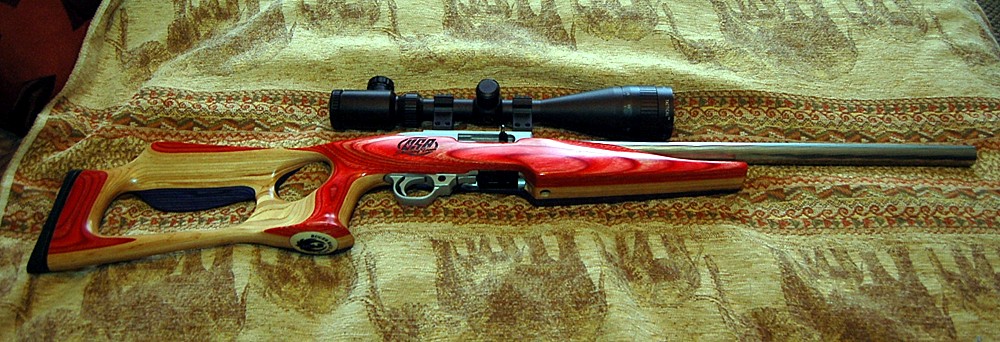 ruger_race_gun_2.jpg