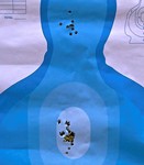 Dan Wesson target