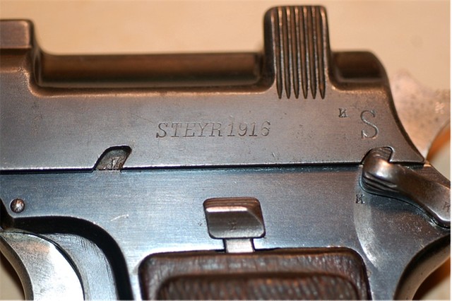 steyr 2