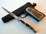 stag 1911