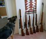 Pounce rifles