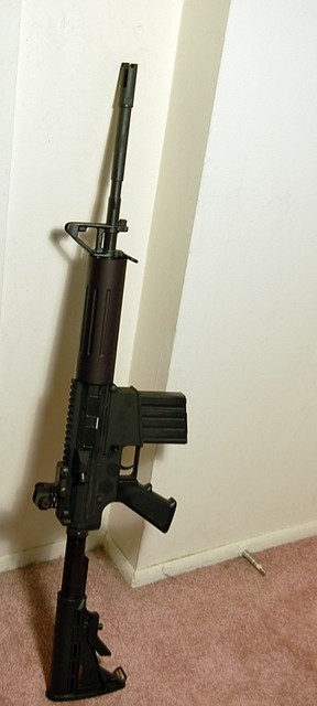 dpms-1