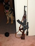 german dog gun