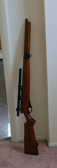 mossberg 22 rifle