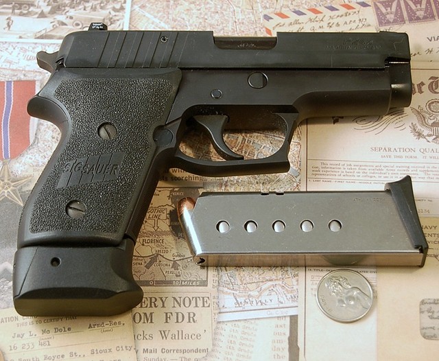 Sig P245 flipside