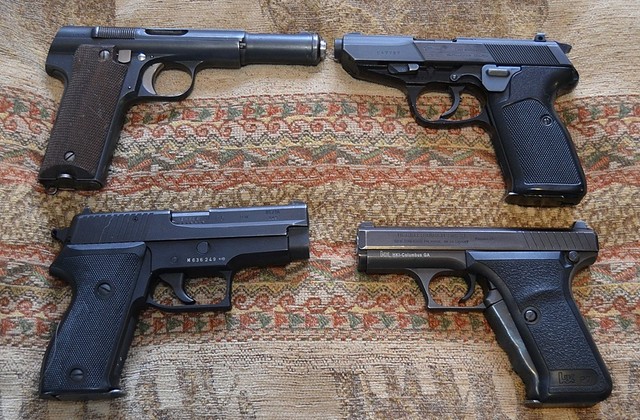 German Police Pistols