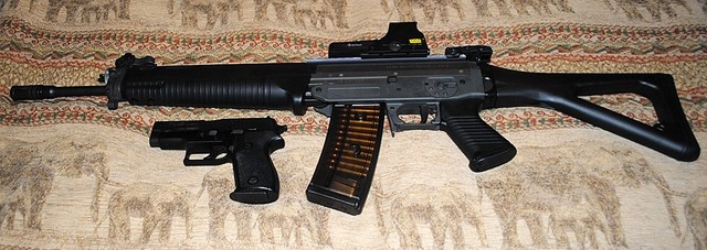 Sig 556 P6