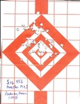 SIG556 target